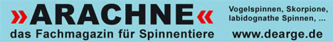 ARACHNE - das Fachmagazin f&uuml;r Spinnentiere